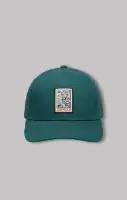 ACE VERDE