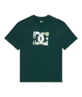 DC STAR FILLED HSS VERDE